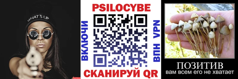 Псилоцибиновые грибы Magic Shrooms  Азов 